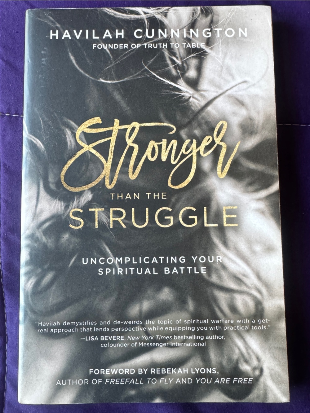 Stronger Than The Struggle Book By Havilah Cunnington